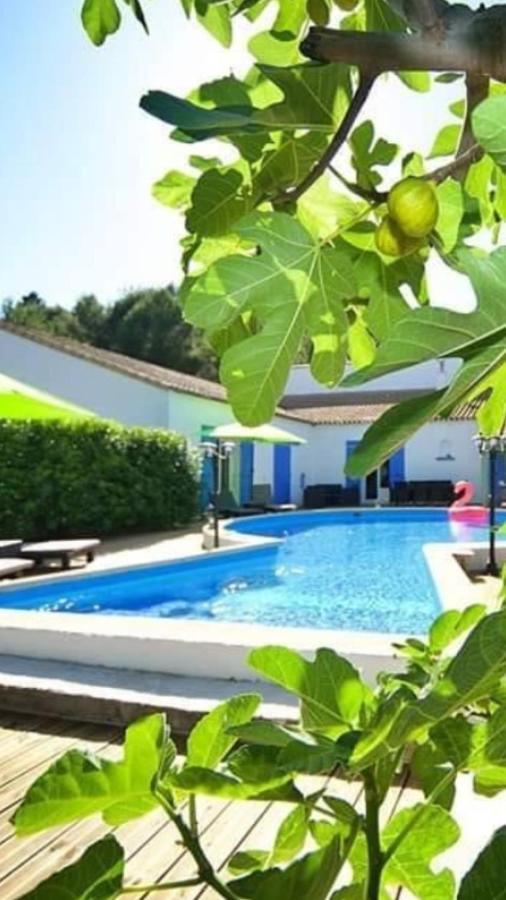 La Villa Du Menhir Bize-Minervois Esterno foto