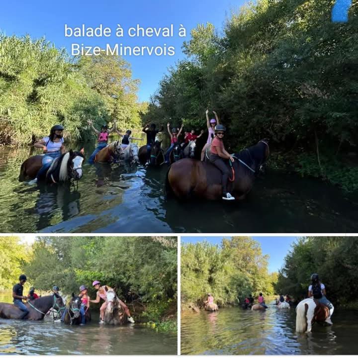 La Villa Du Menhir Bize-Minervois Esterno foto