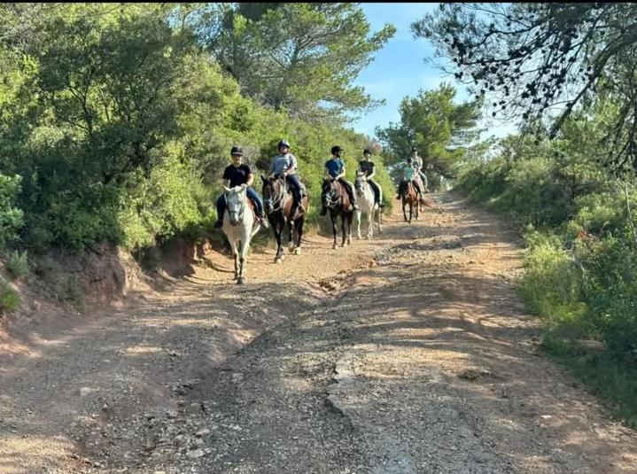 La Villa Du Menhir Bize-Minervois Esterno foto